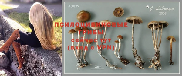 гашишное масло Белокуриха