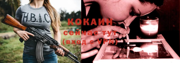 гидра Белоозёрский