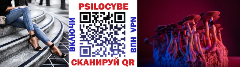 Купить где  Щёлкино  Псилоцибиновые грибы Cubensis 