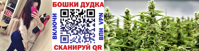 Шишки марихуана ГИДРОПОН  Купить  Щёлкино 